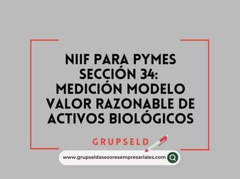 NIIF PARA PYMES SECCI&Oacute;N 34 Medici&oacute;n modelo valor razonable de activos biol&oacute;gicos