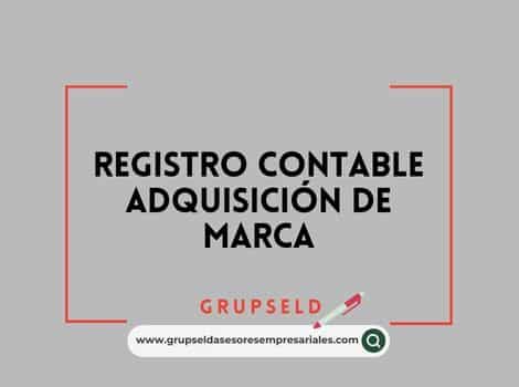 Registro contable adquisici&oacute;n de marca