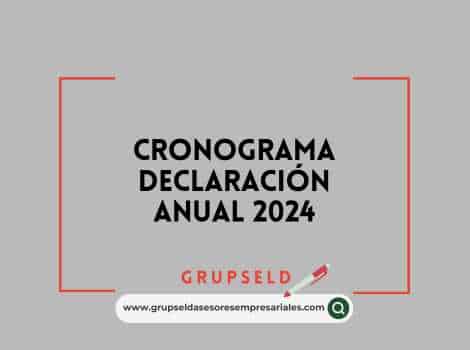 Cronograma Declaraci&oacute;n Anual 2024
