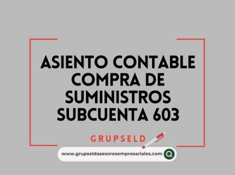 Asiento contable compra de suministros Sub603